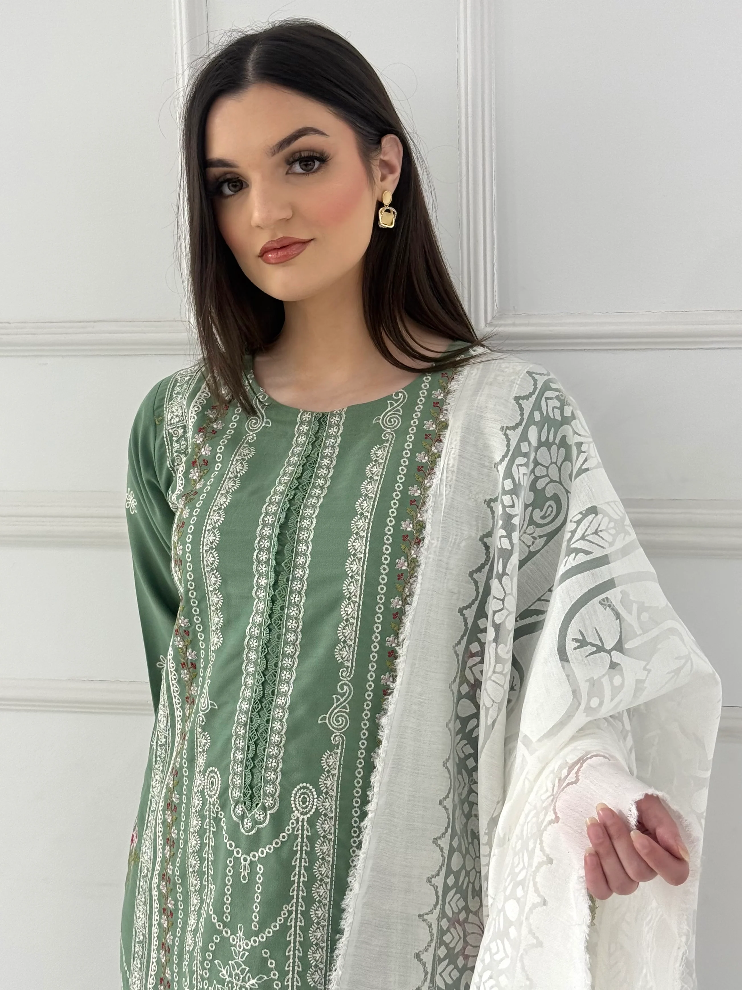 HRM47- Readymade Memsaab Formal Suit - Image 4